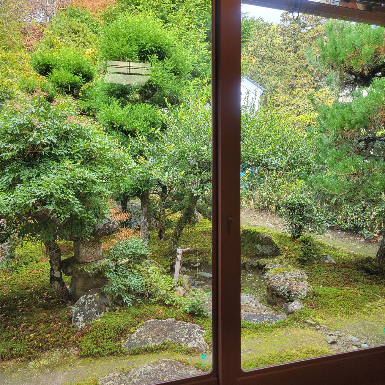 f:id:atoriatoriatori:20251216103408j:image