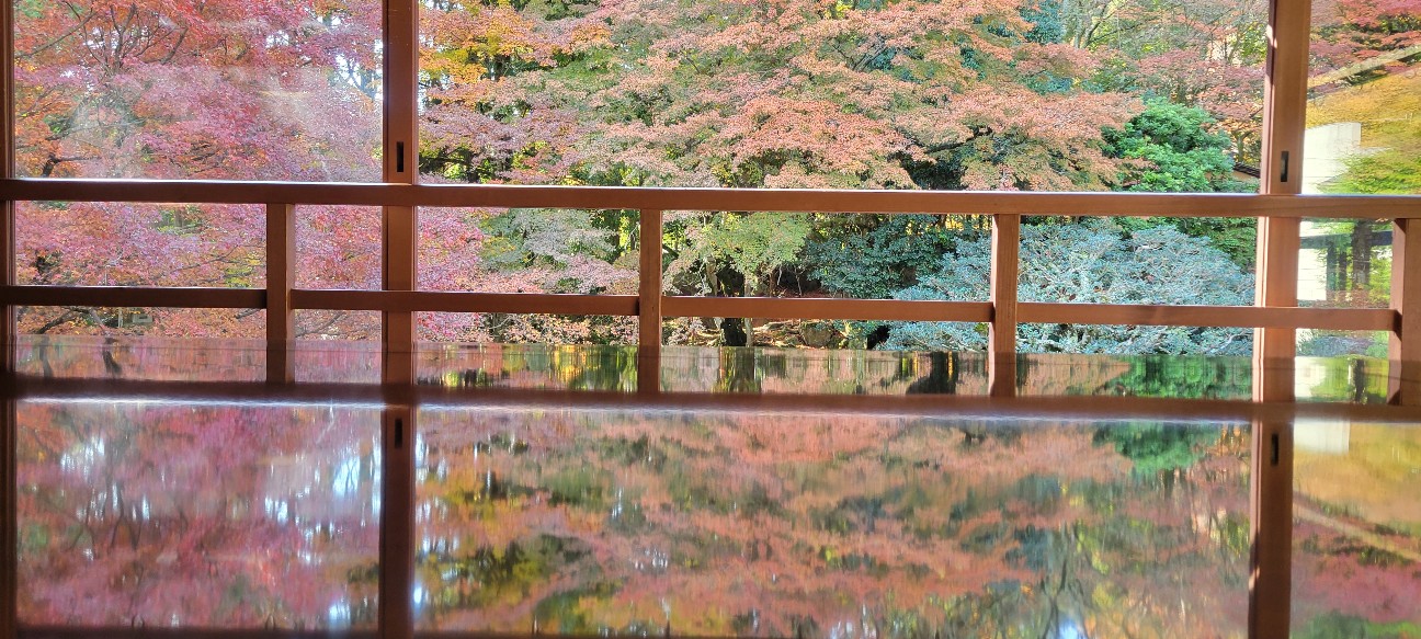 f:id:atoriatoriatori:20251216103650j:image