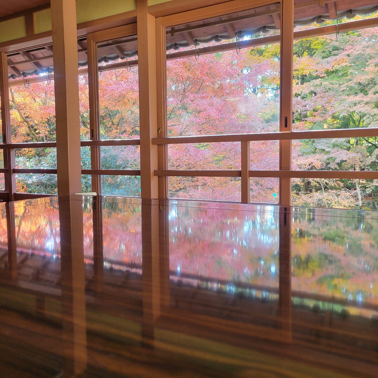 f:id:atoriatoriatori:20251216103939j:image