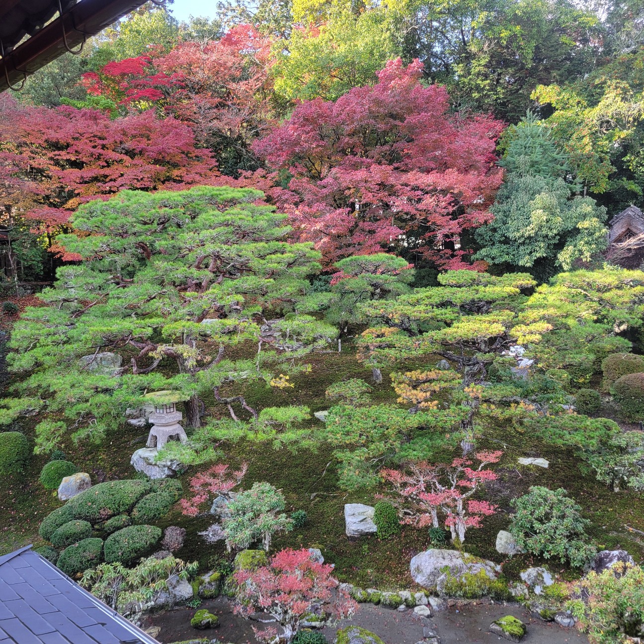 f:id:atoriatoriatori:20251216103949j:image