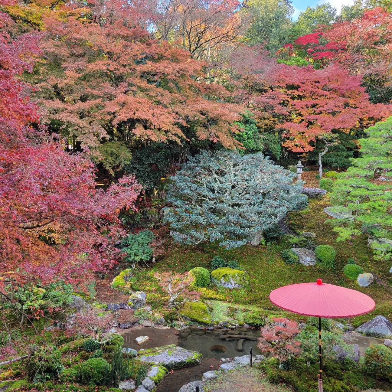 f:id:atoriatoriatori:20251216104544j:image