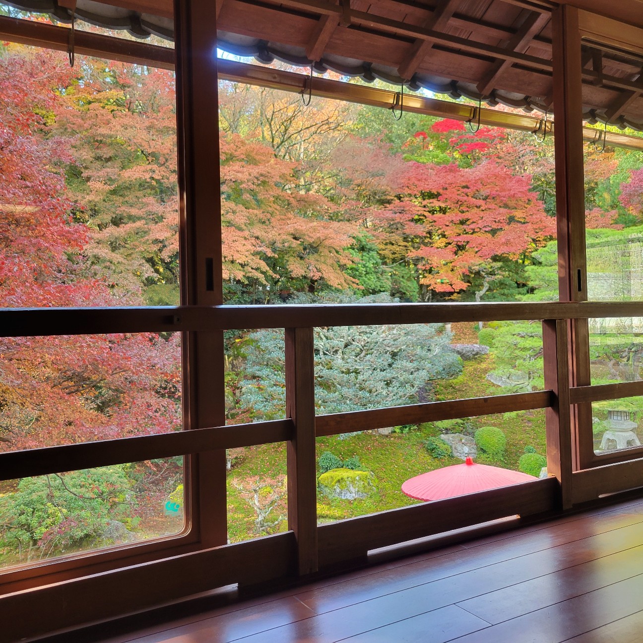 f:id:atoriatoriatori:20251216104553j:image