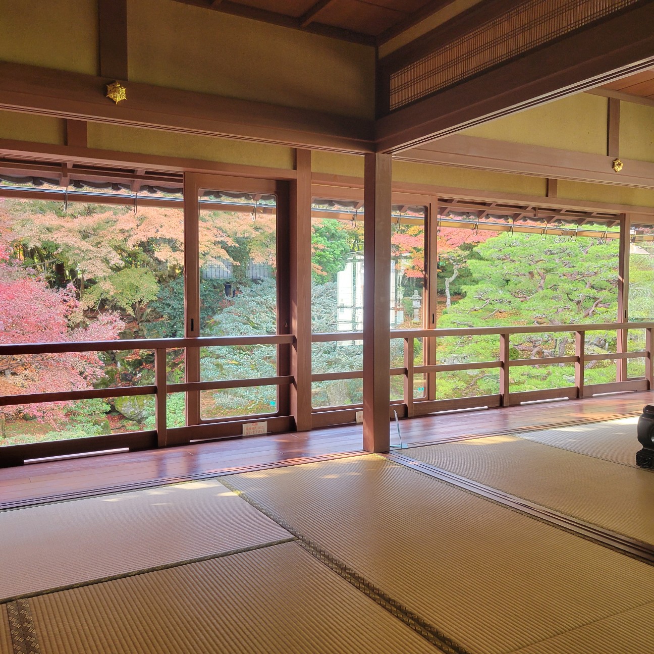 f:id:atoriatoriatori:20251216125903j:image