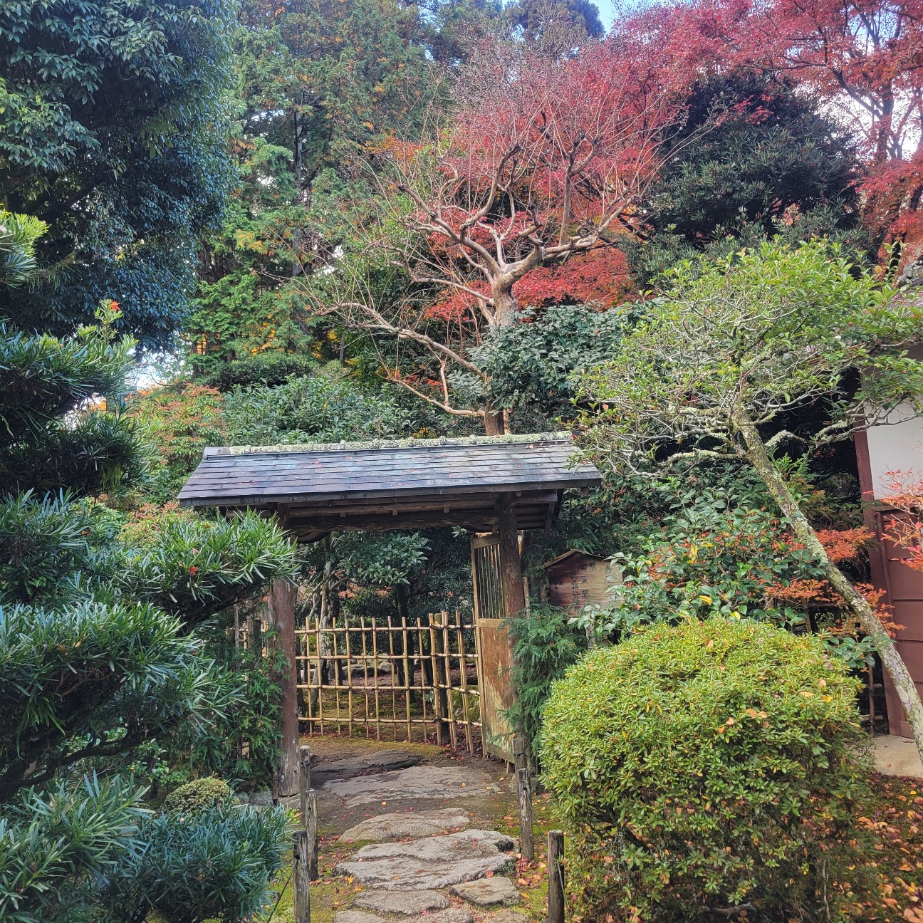 f:id:atoriatoriatori:20251216131556j:image