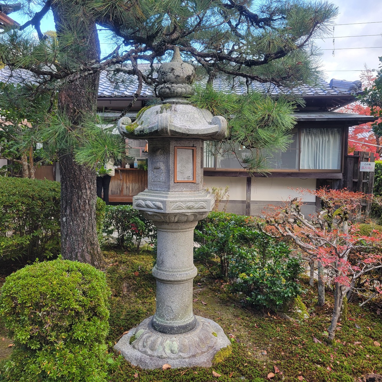 f:id:atoriatoriatori:20251216142011j:image