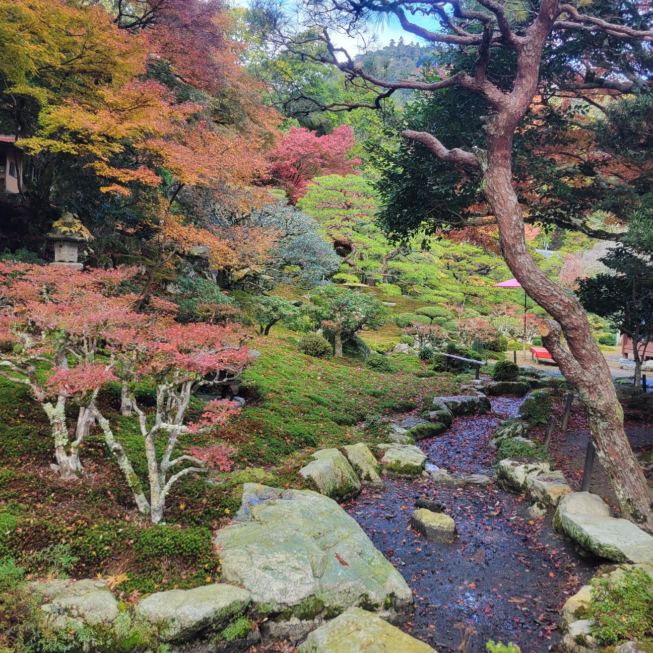 f:id:atoriatoriatori:20251216142220j:image