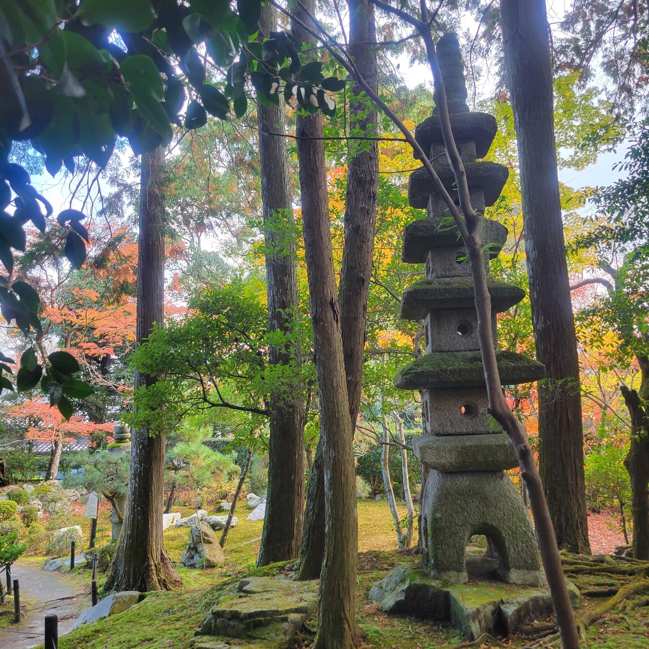 f:id:atoriatoriatori:20251216142230j:image