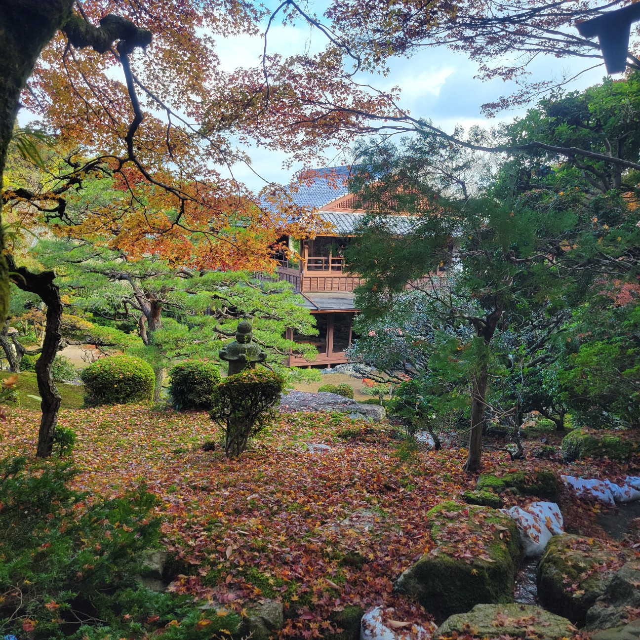 f:id:atoriatoriatori:20251216142730j:image