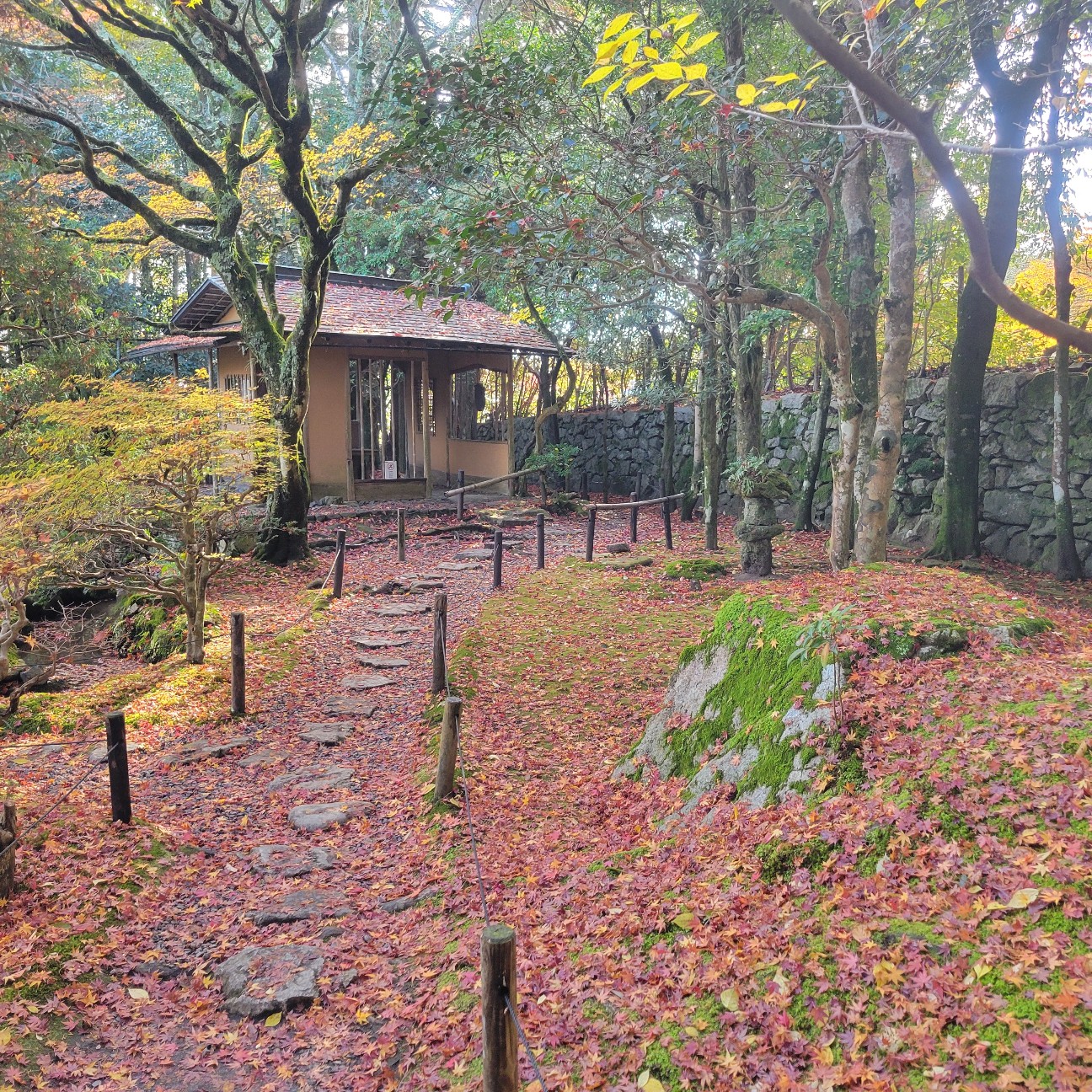 f:id:atoriatoriatori:20251216143239j:image