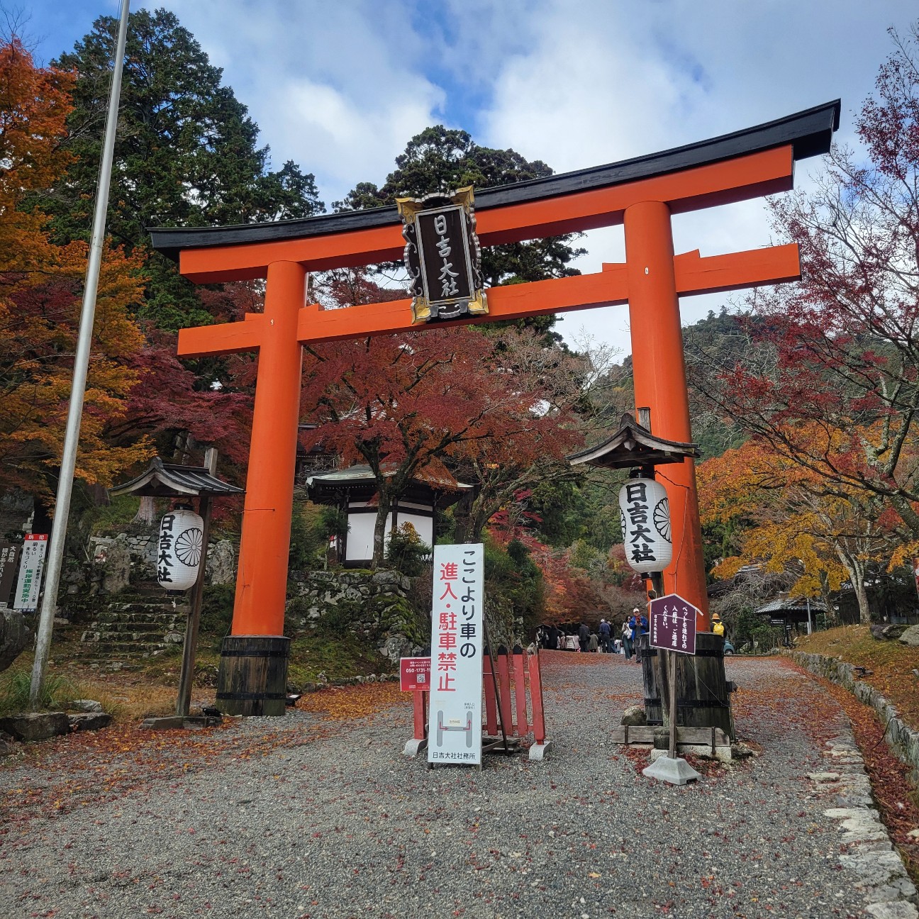 f:id:atoriatoriatori:20251217093239j:image