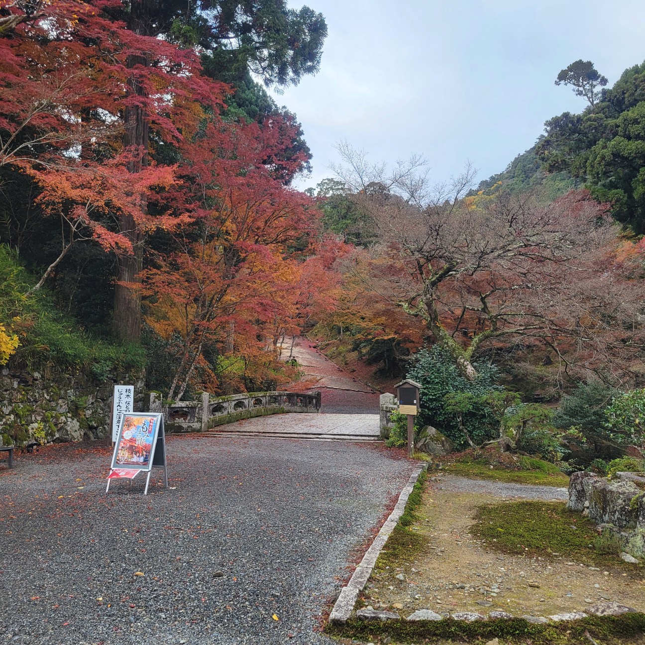 f:id:atoriatoriatori:20251217101417j:image