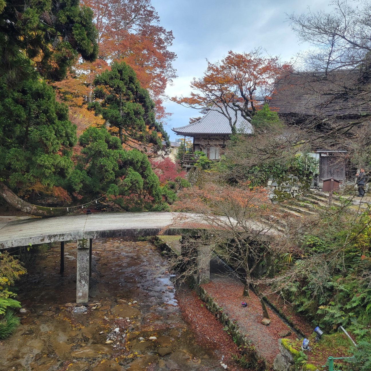 f:id:atoriatoriatori:20251217105042j:image