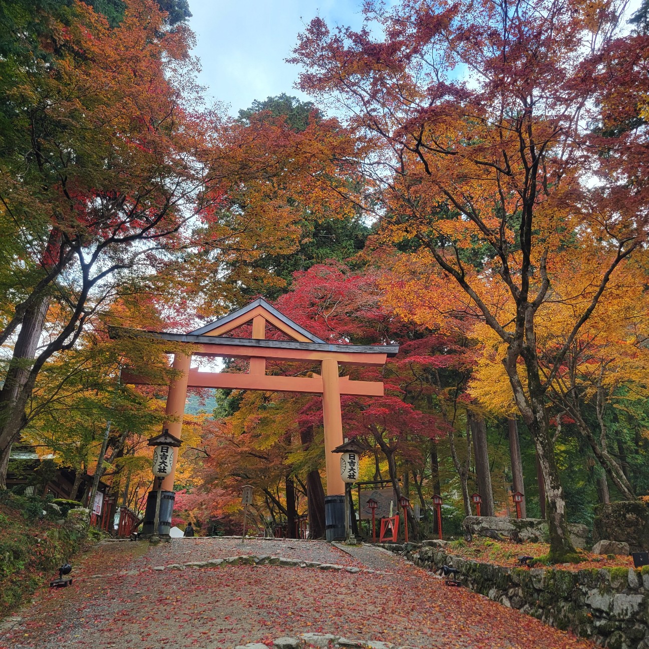 f:id:atoriatoriatori:20251217110326j:image