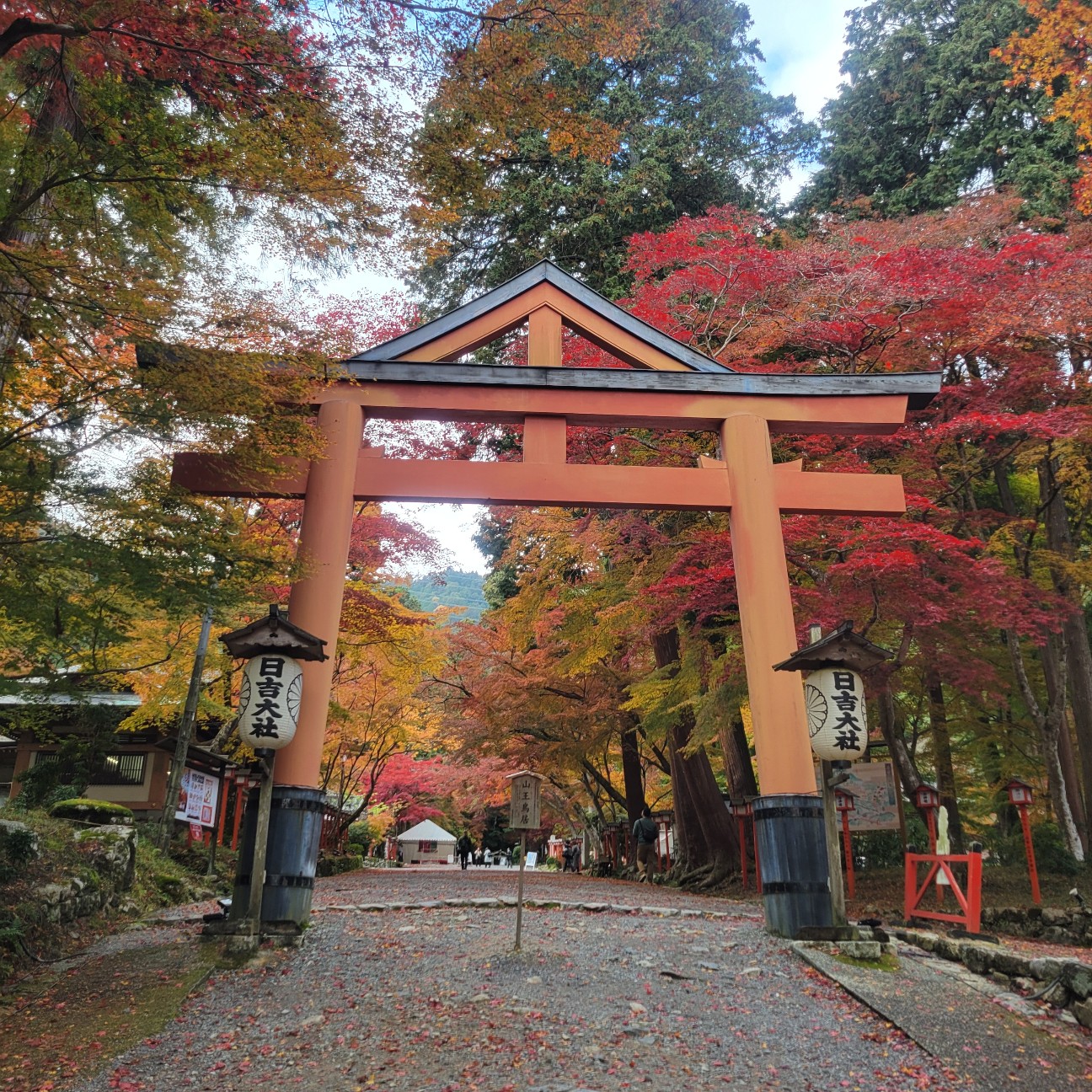 f:id:atoriatoriatori:20251217110344j:image