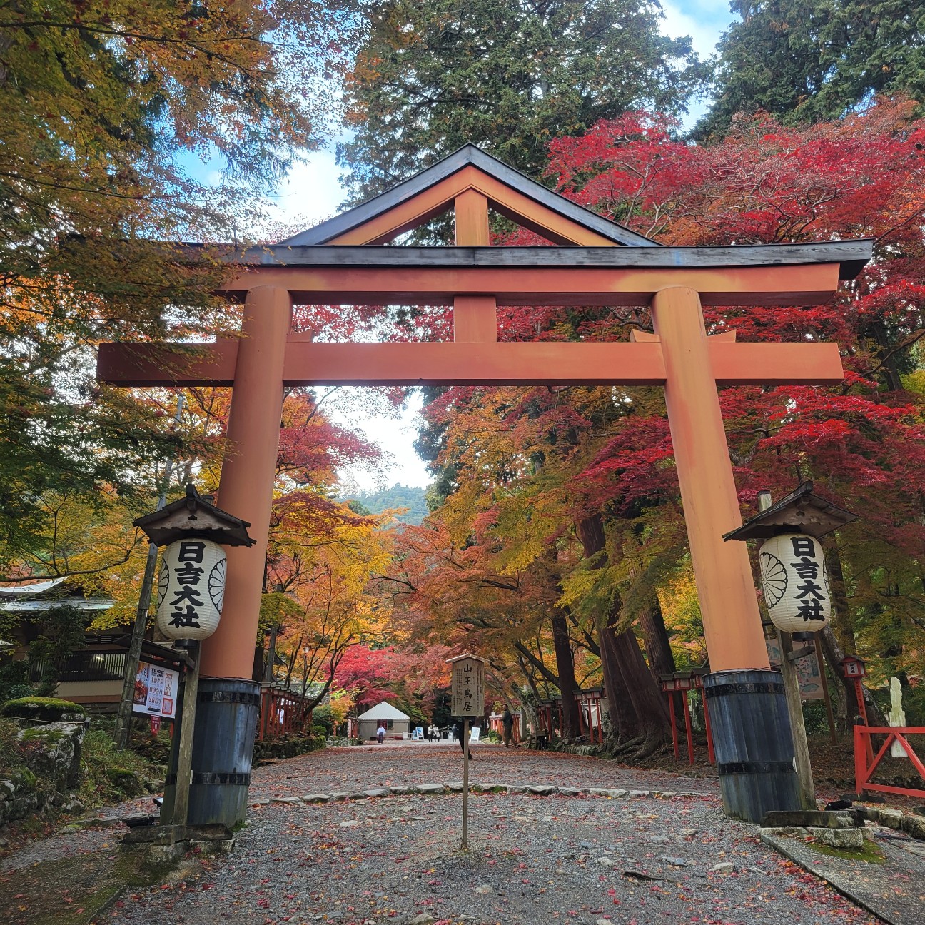f:id:atoriatoriatori:20251217110400j:image