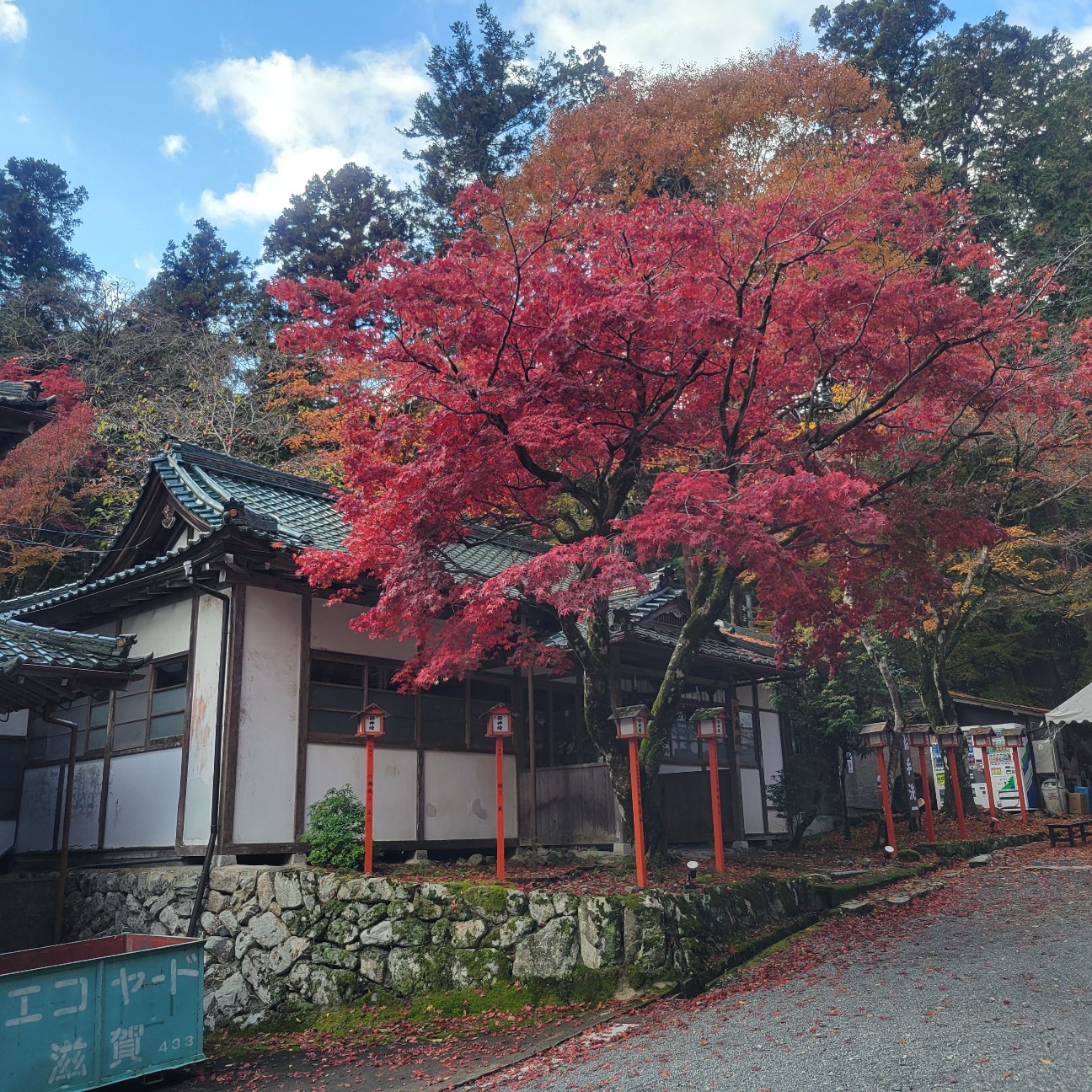 f:id:atoriatoriatori:20251217140558j:image