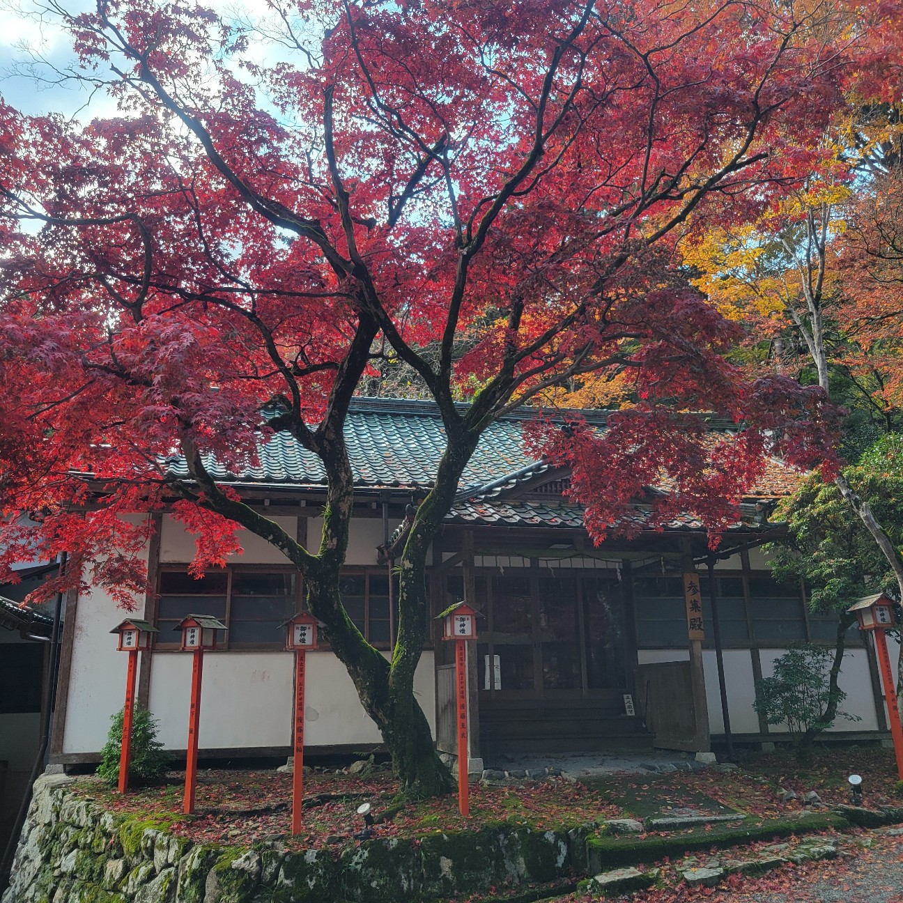 f:id:atoriatoriatori:20251217140607j:image