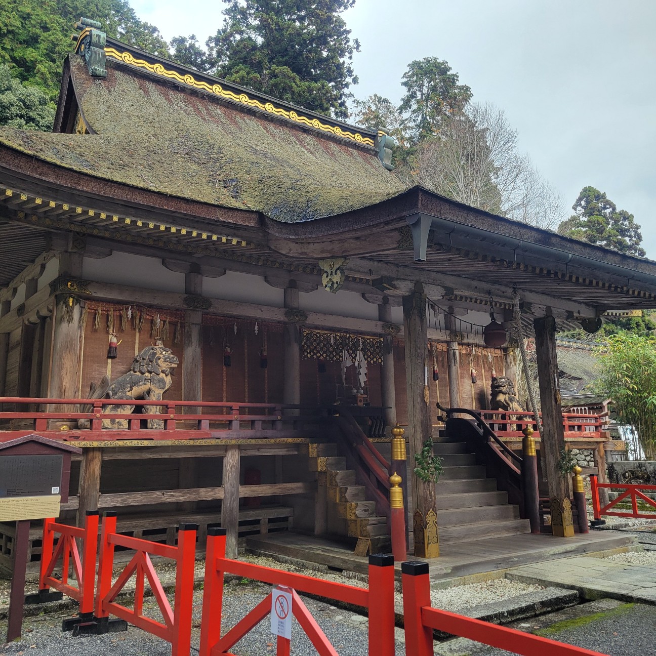 f:id:atoriatoriatori:20251217162404j:image