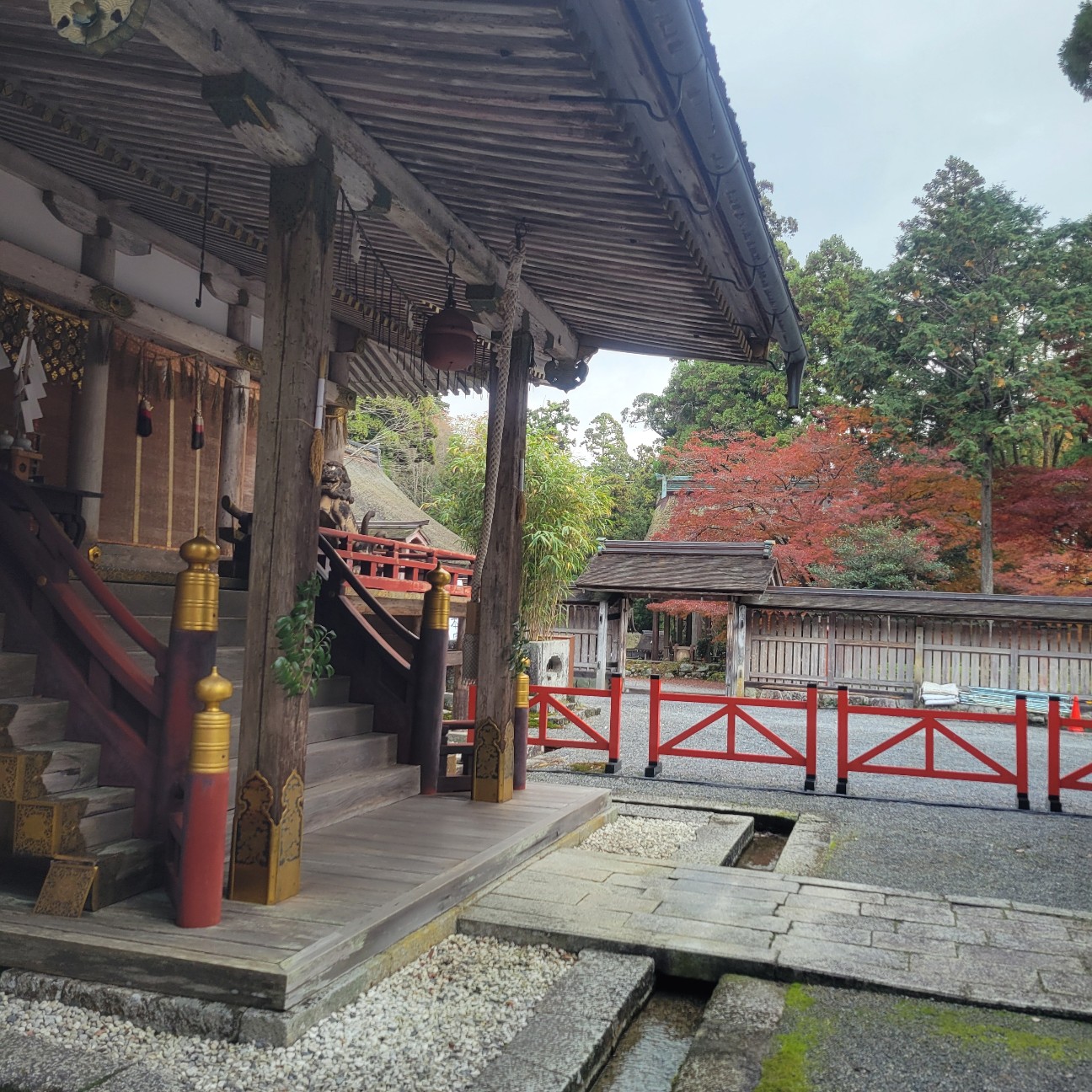 f:id:atoriatoriatori:20251217163312j:image