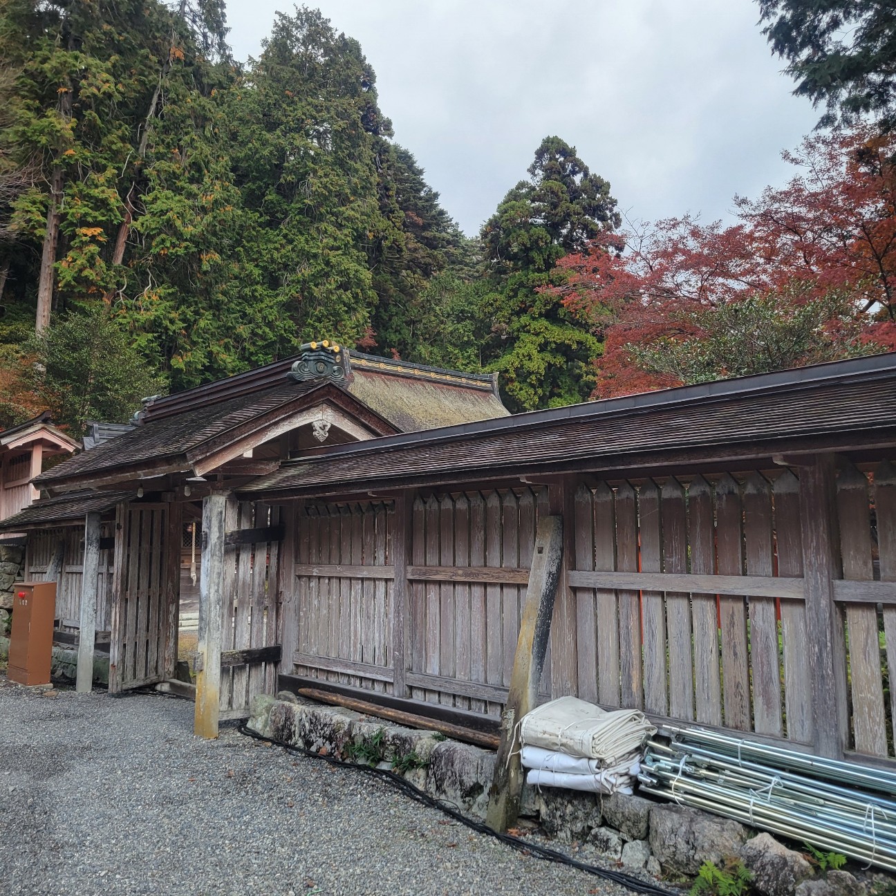 f:id:atoriatoriatori:20251217171520j:image