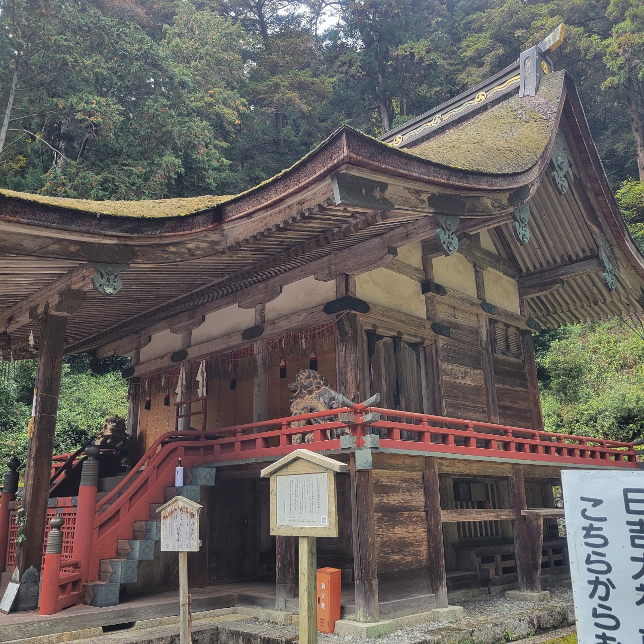 f:id:atoriatoriatori:20251217180803j:image
