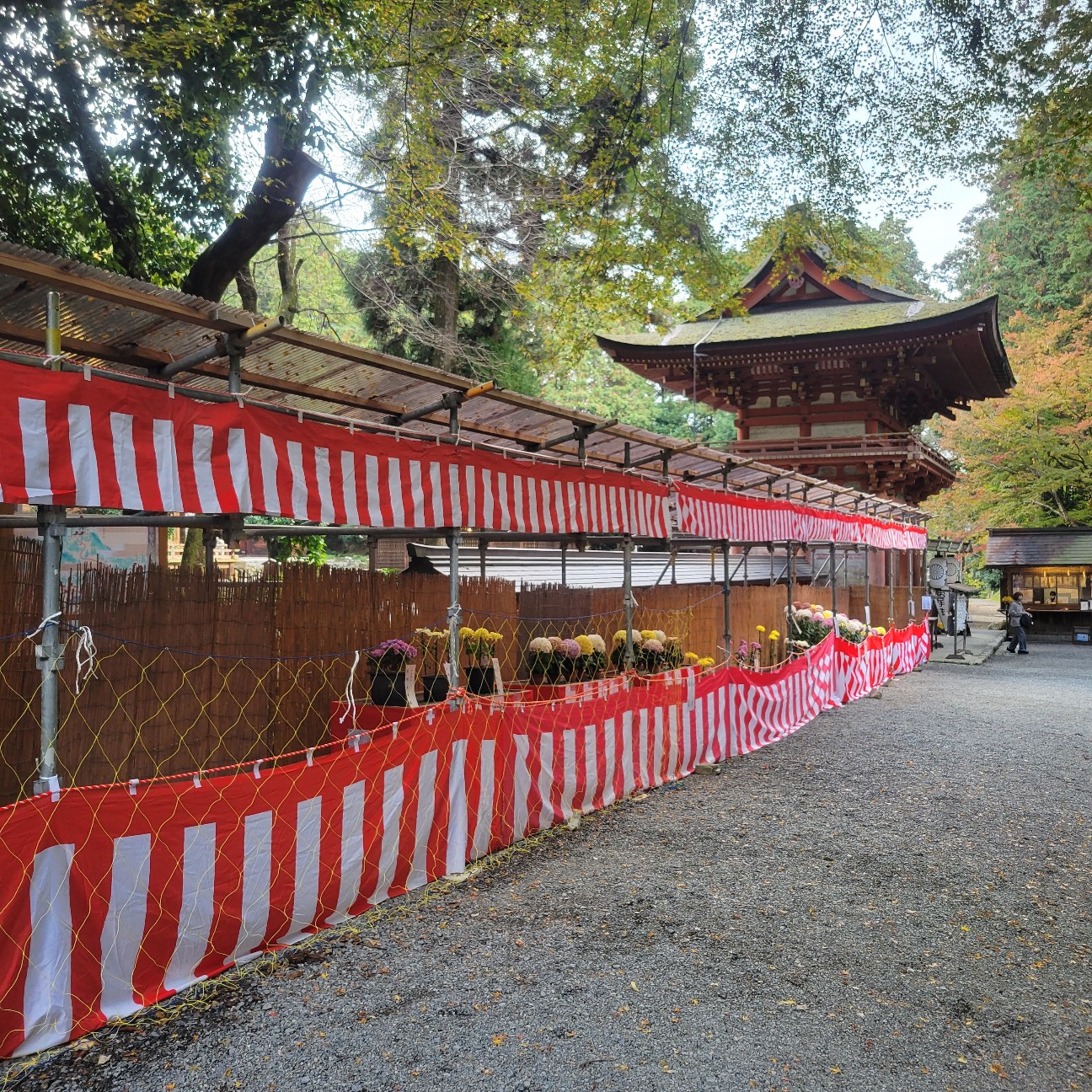f:id:atoriatoriatori:20251217182437j:image