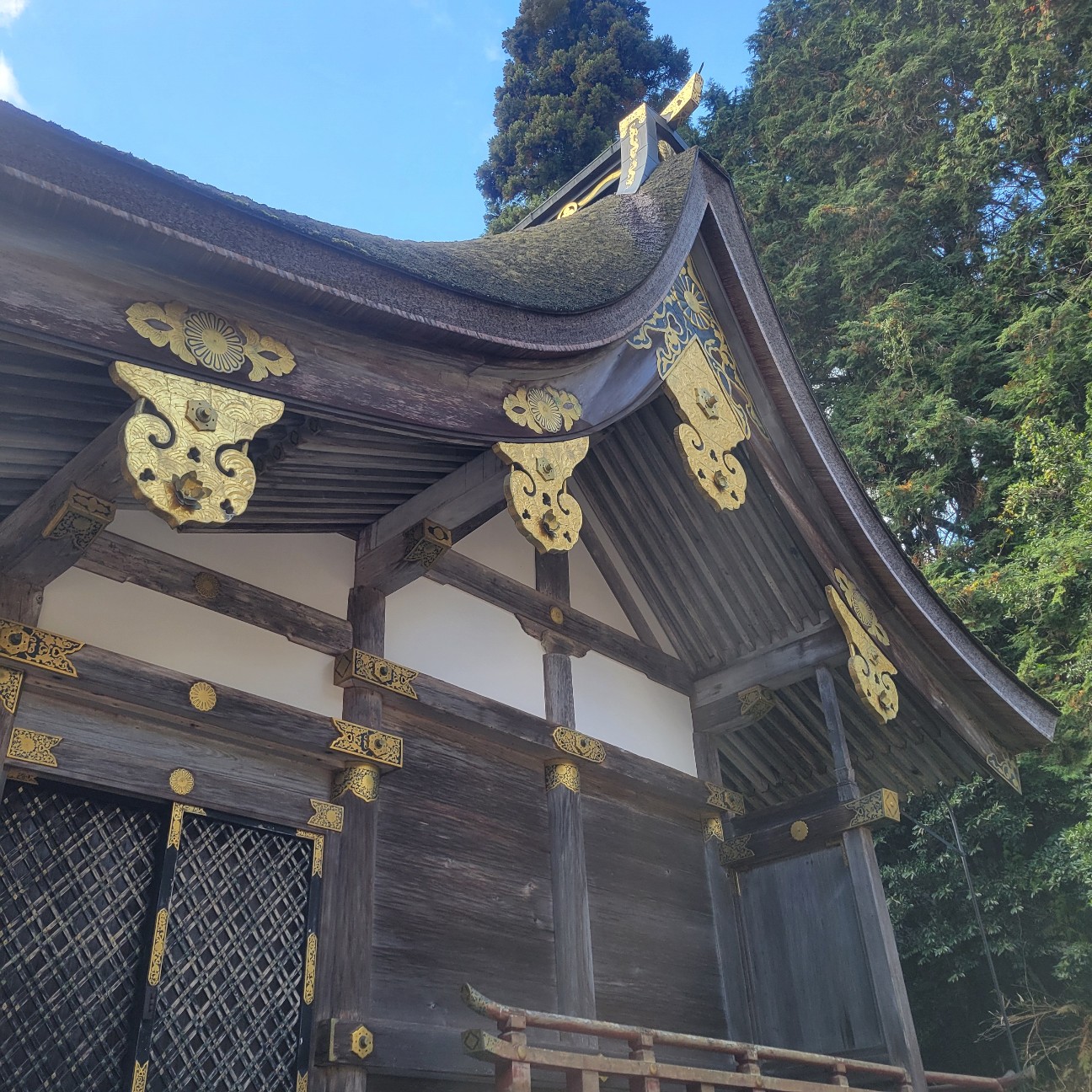f:id:atoriatoriatori:20251217220724j:image