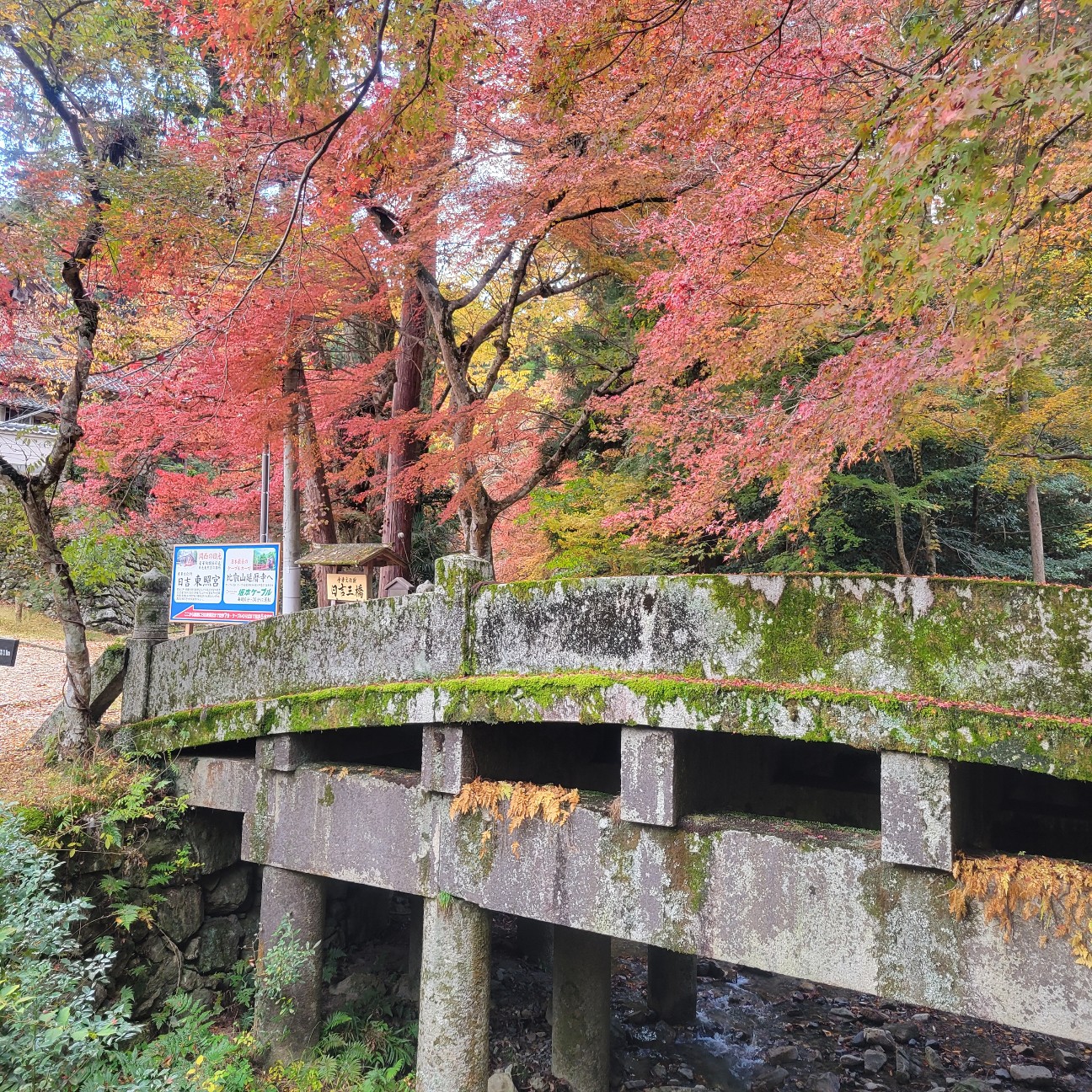 f:id:atoriatoriatori:20251218083245j:image