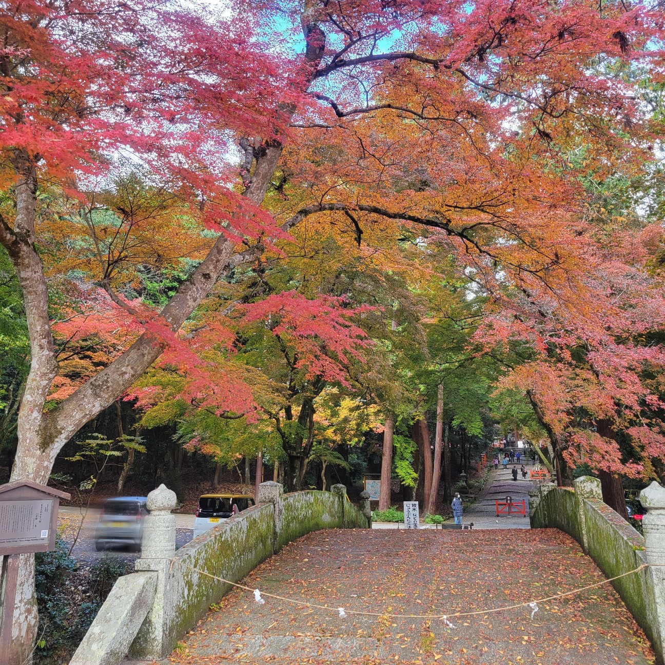f:id:atoriatoriatori:20251218083303j:image