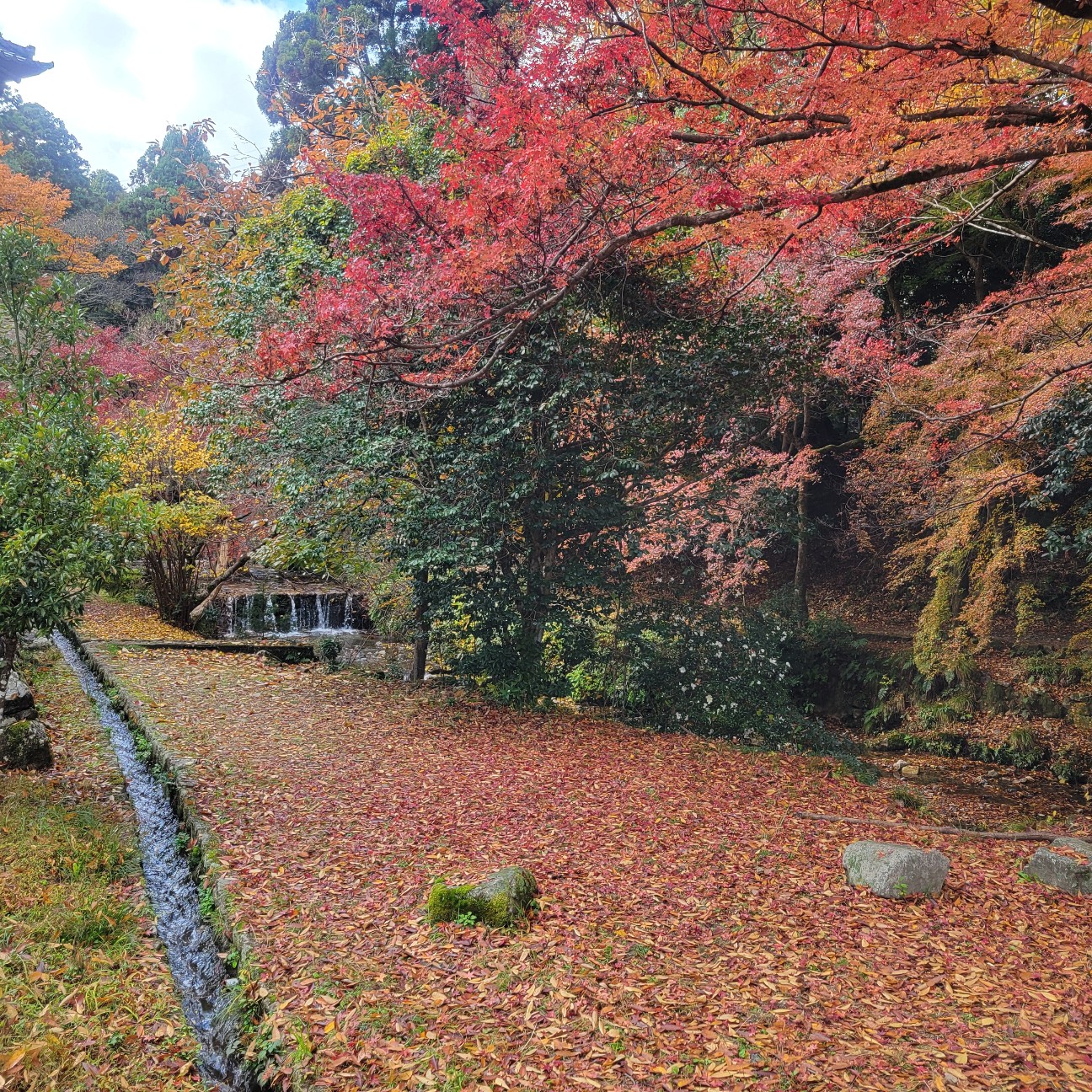 f:id:atoriatoriatori:20251218090302j:image