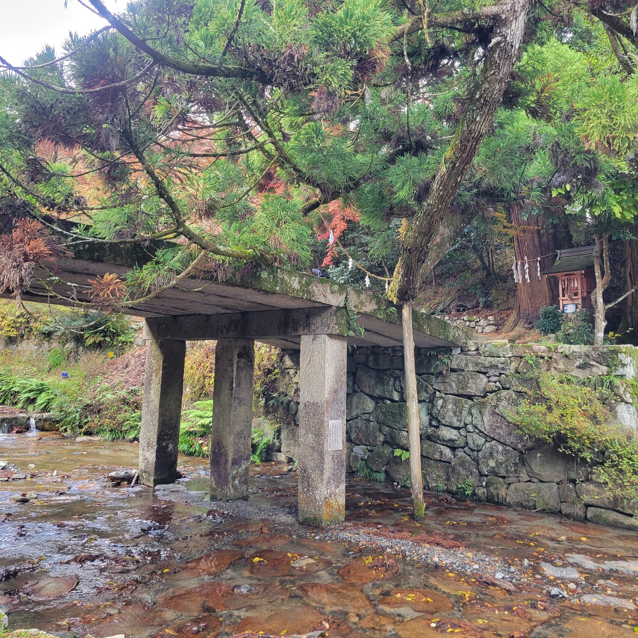 f:id:atoriatoriatori:20251218090321j:image