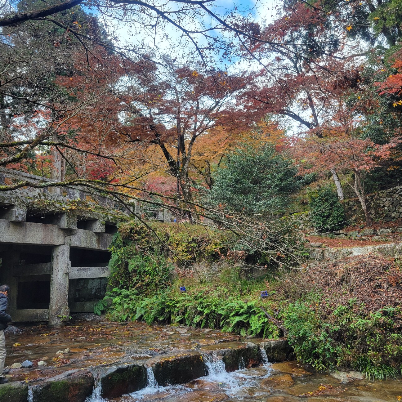 f:id:atoriatoriatori:20251218090808j:image