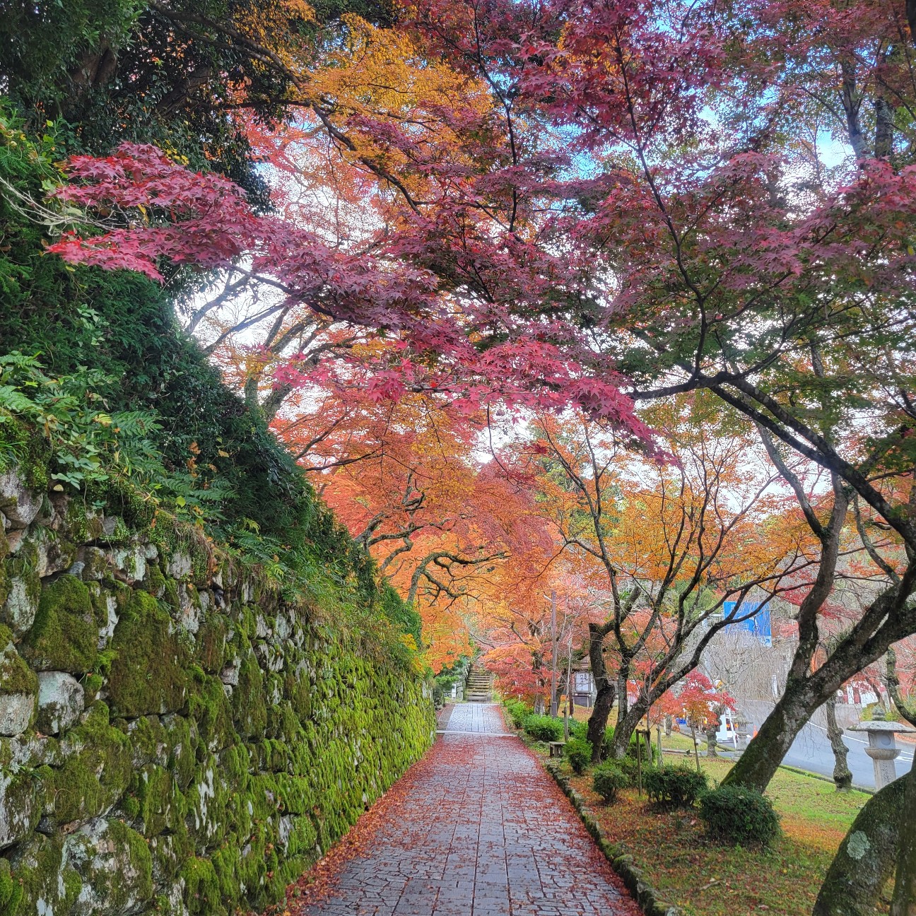 f:id:atoriatoriatori:20251218094842j:image
