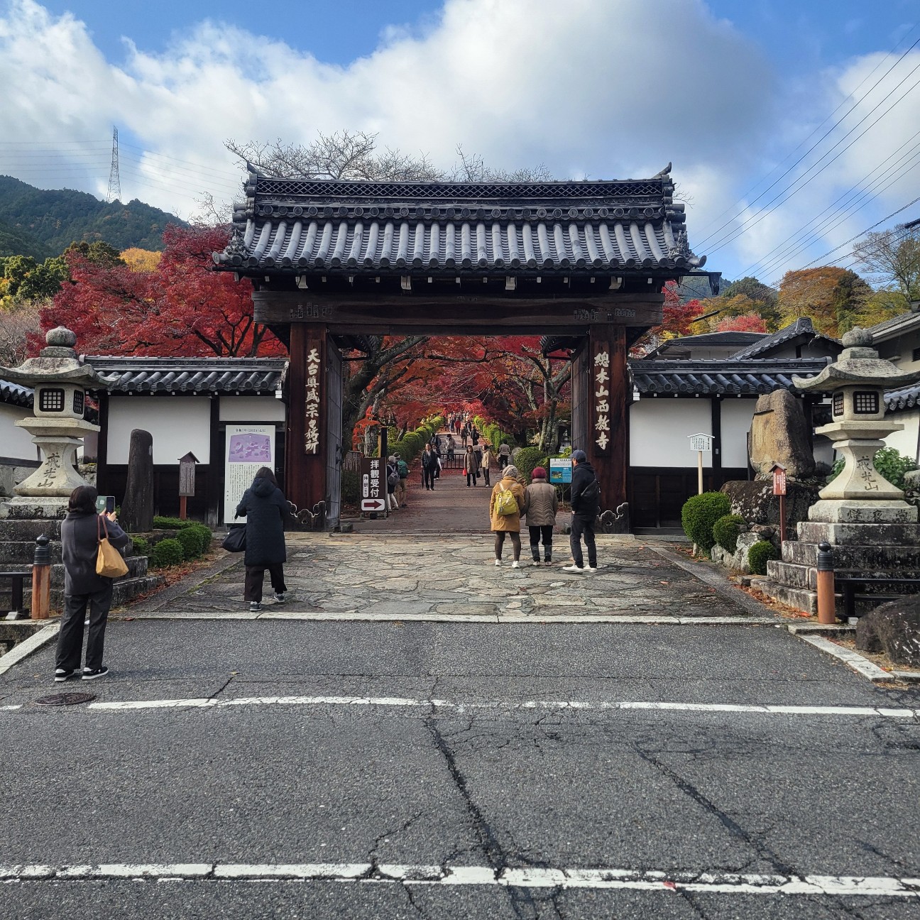 f:id:atoriatoriatori:20251218104607j:image