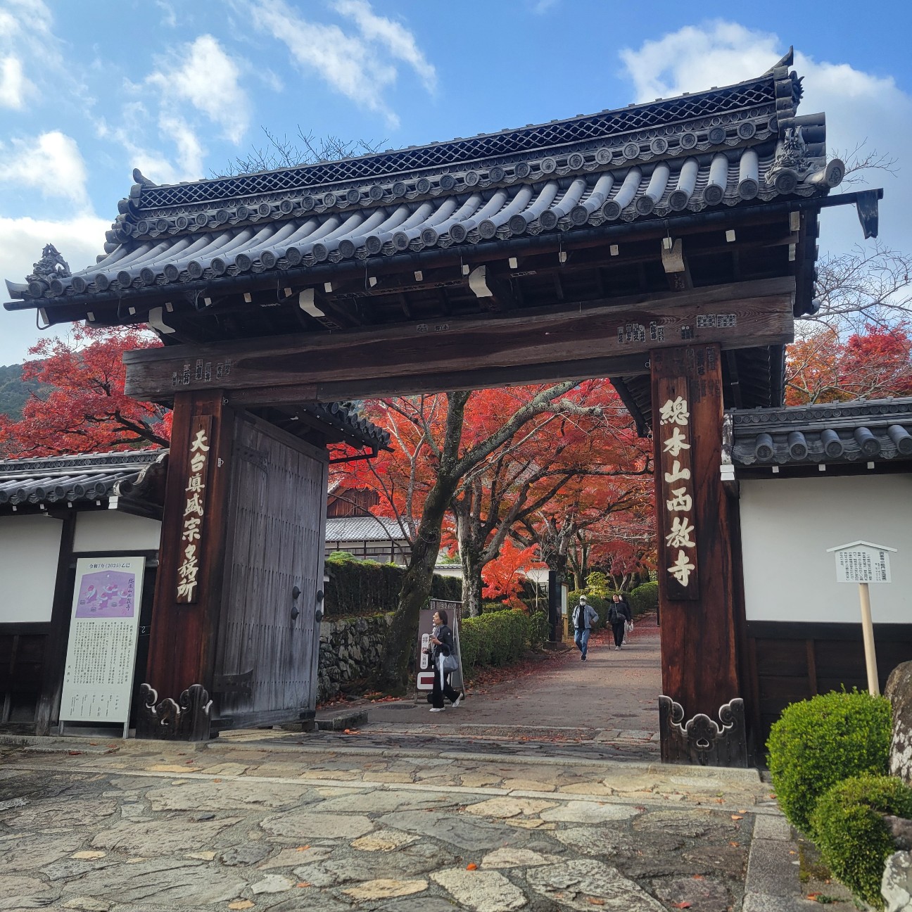 f:id:atoriatoriatori:20251218104701j:image