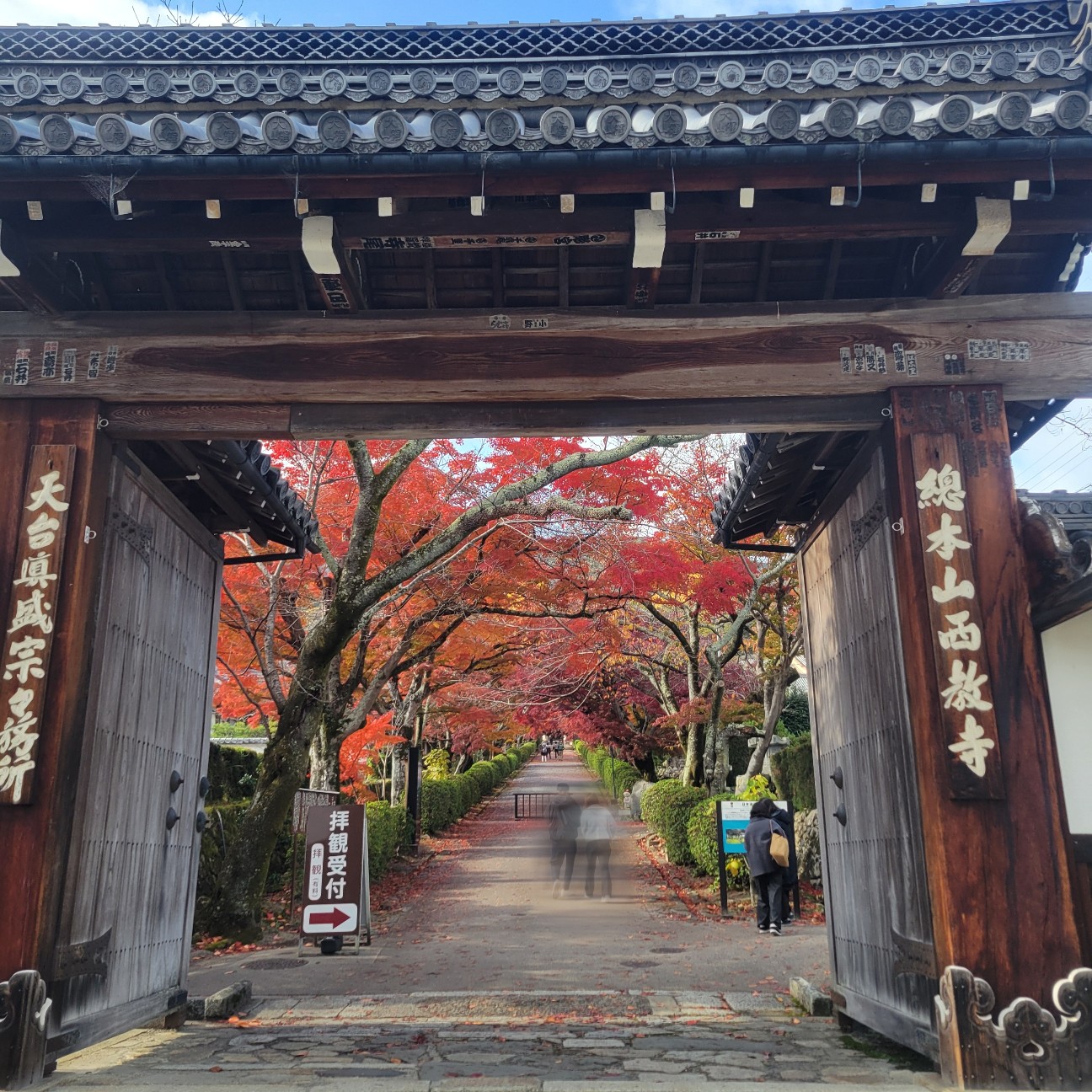 f:id:atoriatoriatori:20251219075630j:image