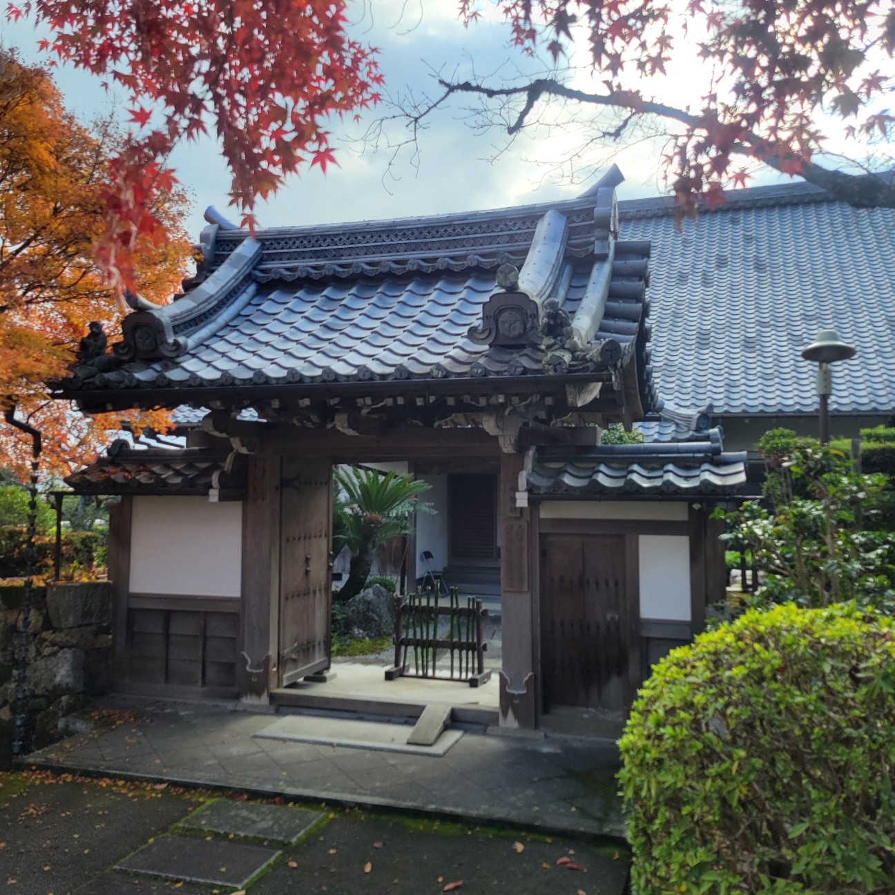f:id:atoriatoriatori:20251219092000j:image