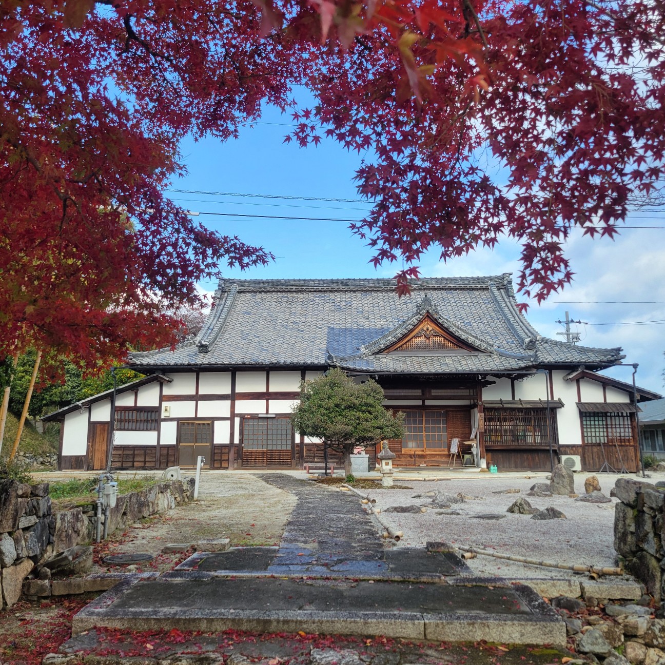 f:id:atoriatoriatori:20251219092014j:image