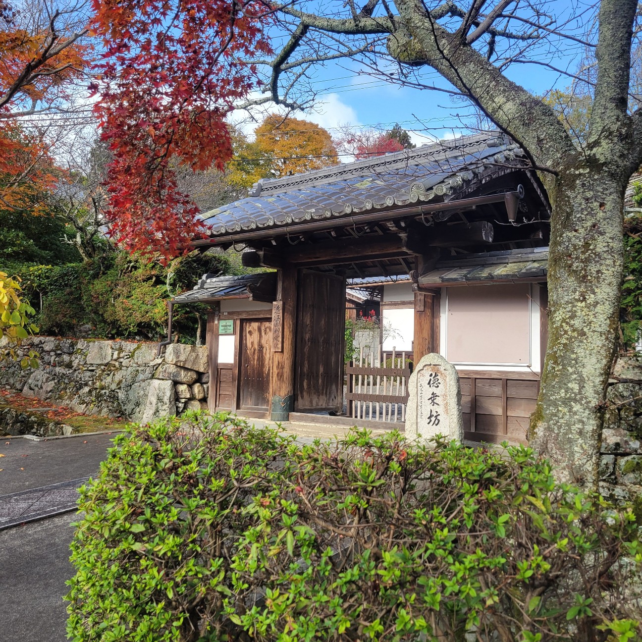 f:id:atoriatoriatori:20251219092023j:image