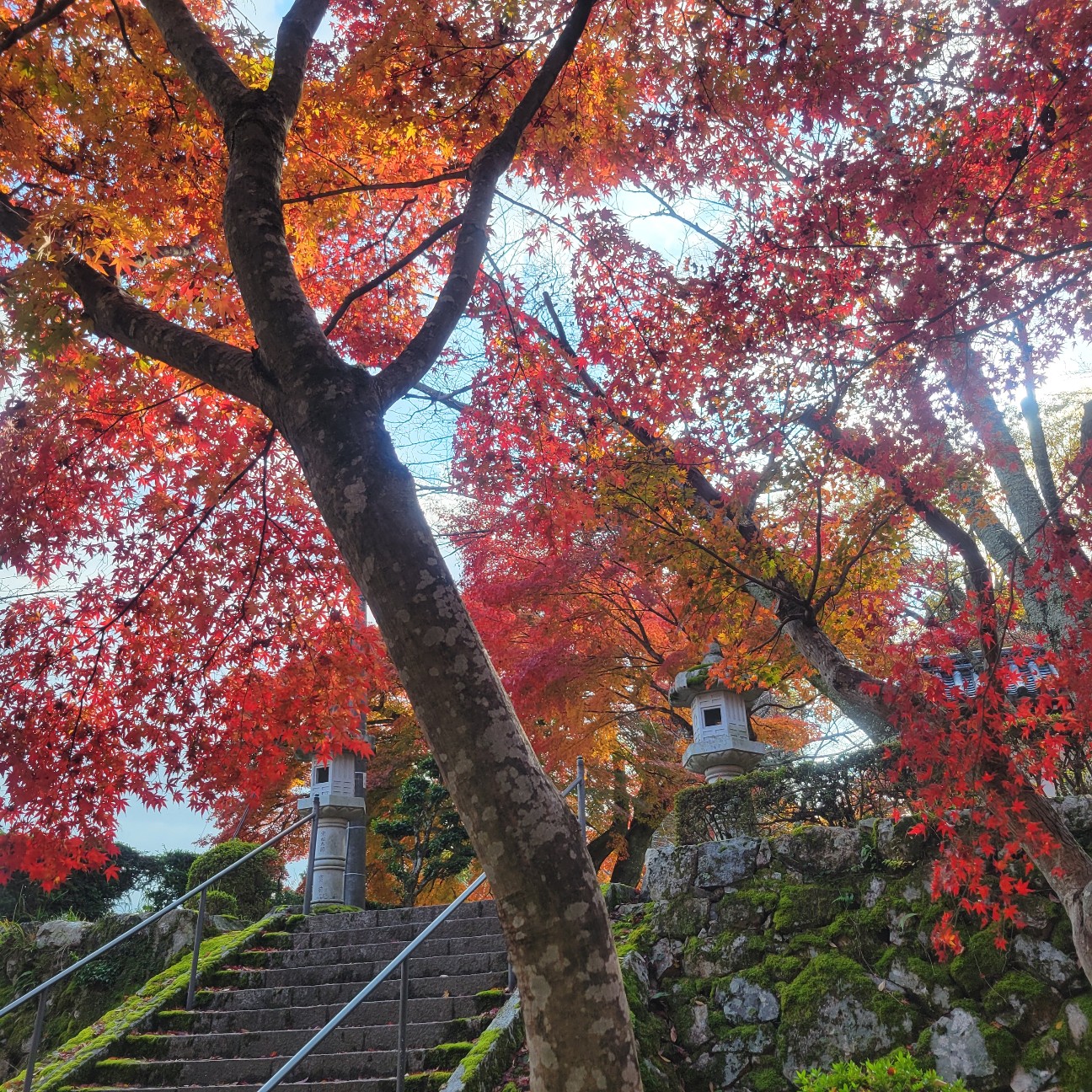 f:id:atoriatoriatori:20251219100927j:image
