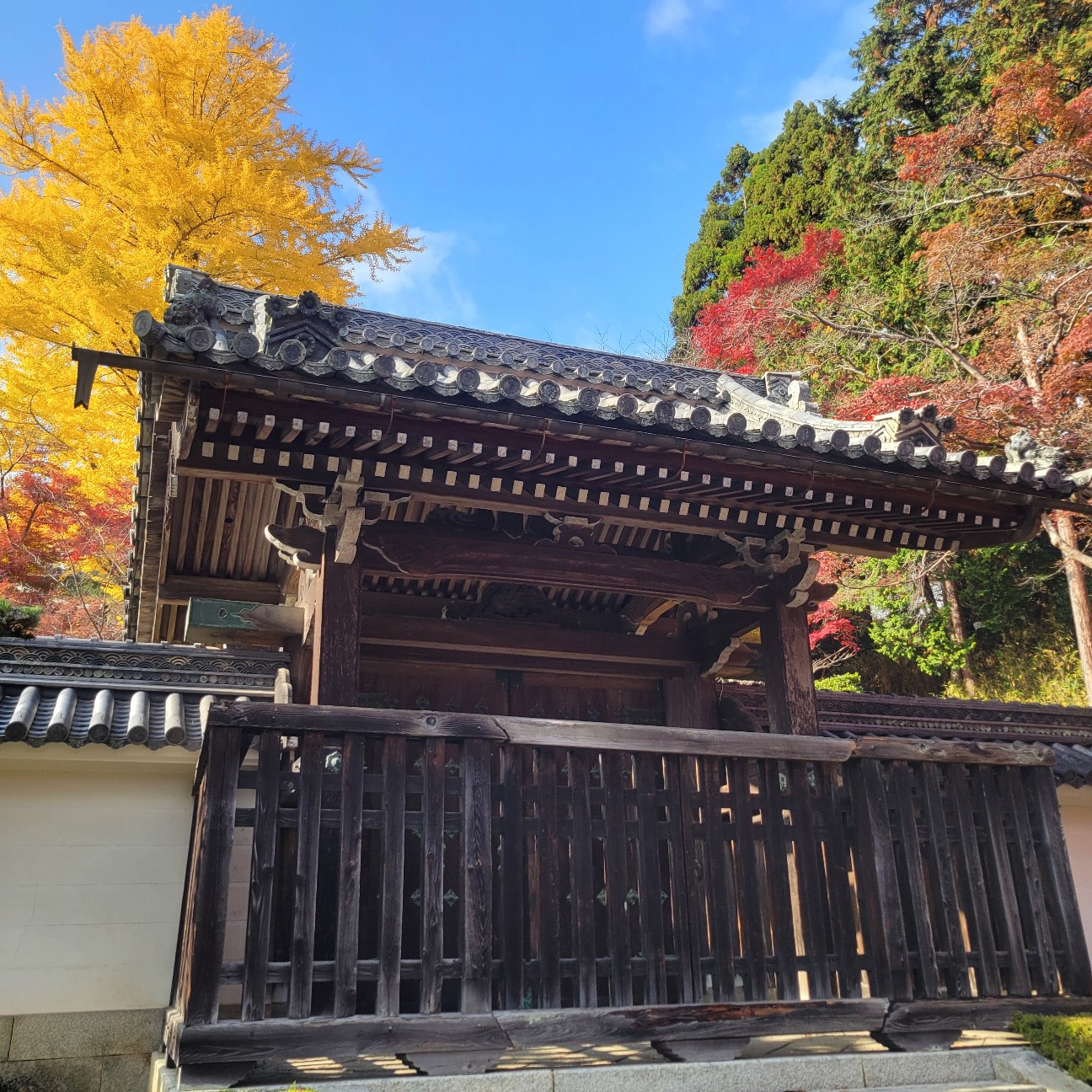 f:id:atoriatoriatori:20251219113328j:image