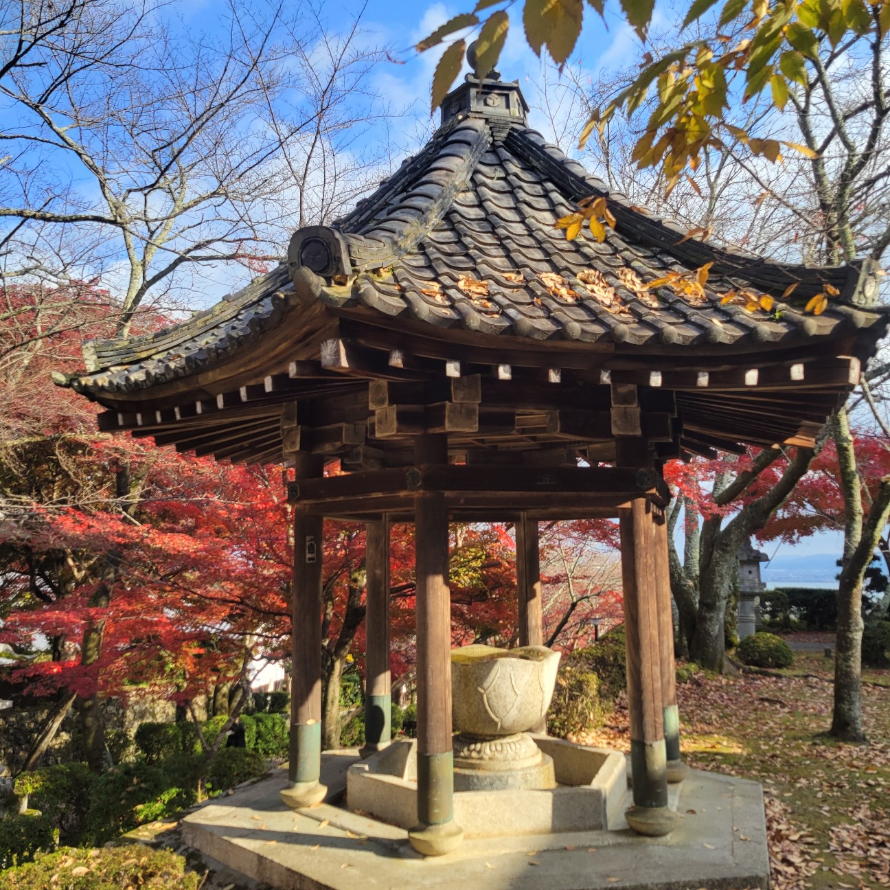 f:id:atoriatoriatori:20251219114000j:image