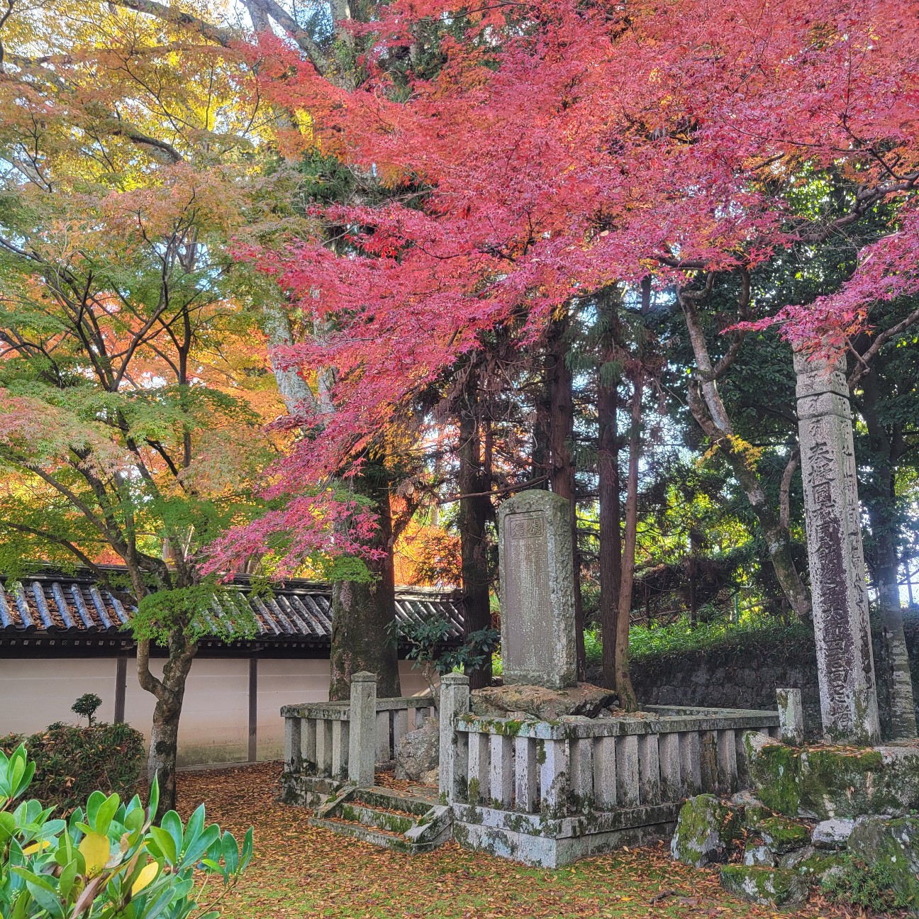f:id:atoriatoriatori:20251219125002j:image