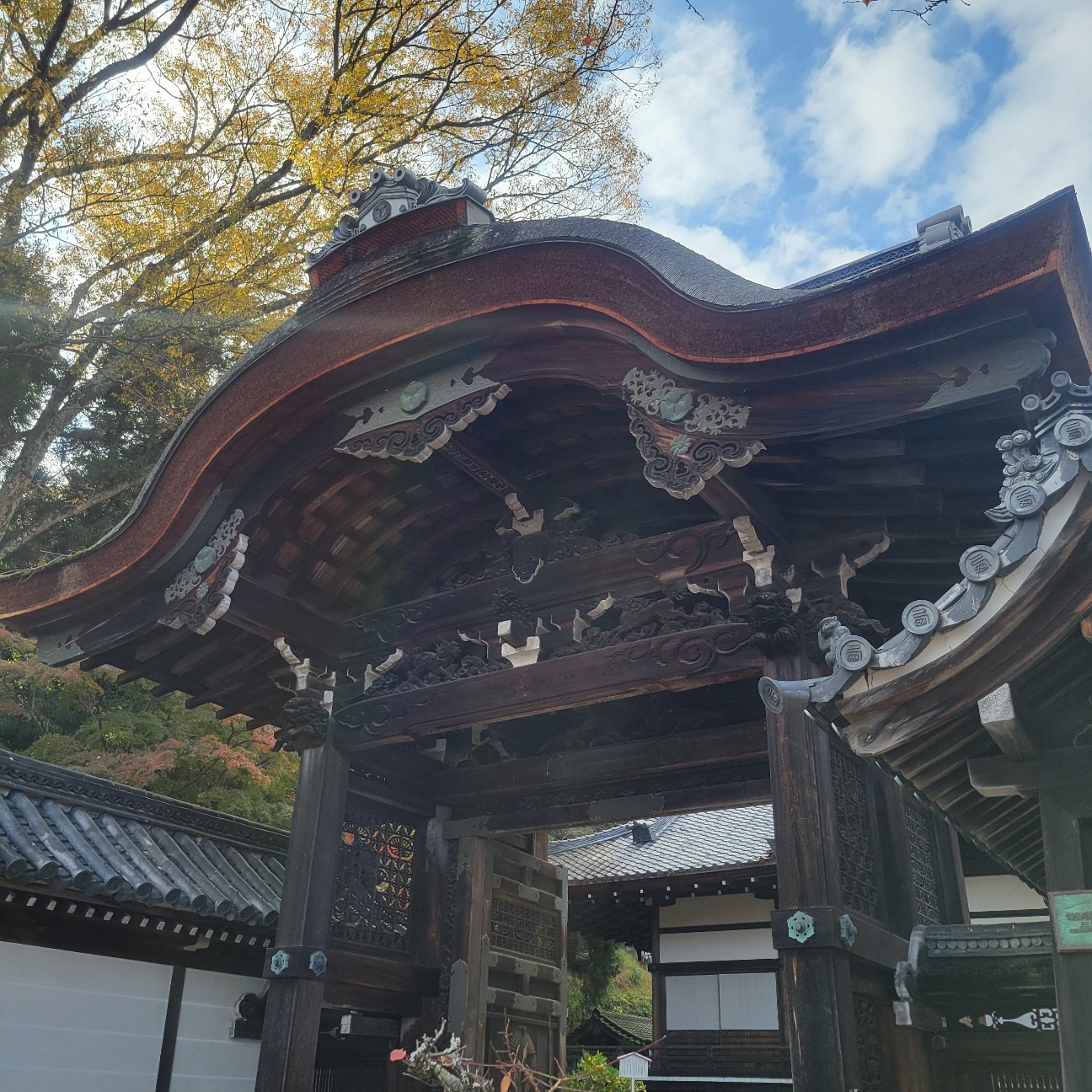 f:id:atoriatoriatori:20251219130352j:image