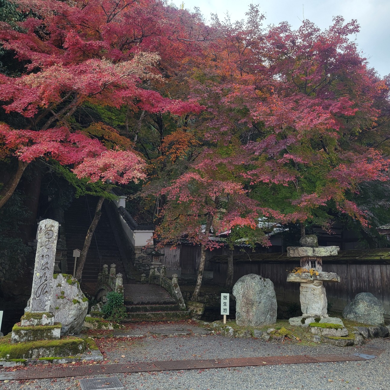 f:id:atoriatoriatori:20251219155120j:image
