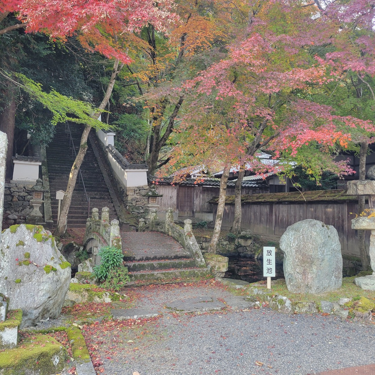f:id:atoriatoriatori:20251219155136j:image