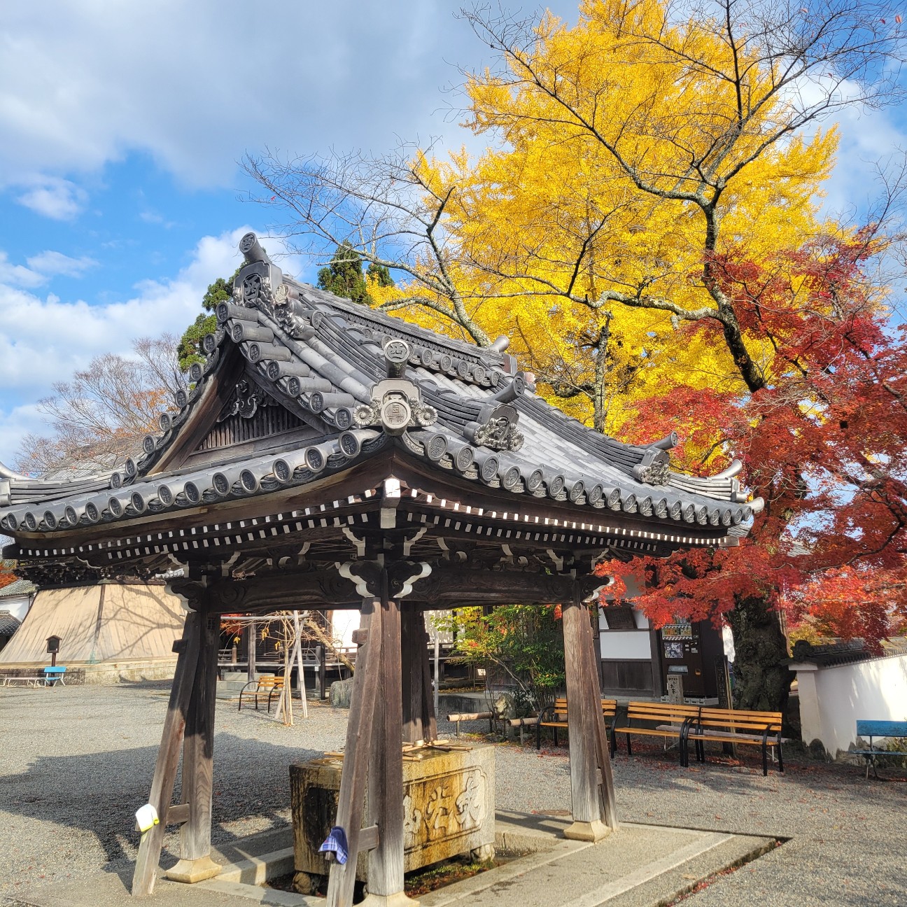 f:id:atoriatoriatori:20251219171753j:image