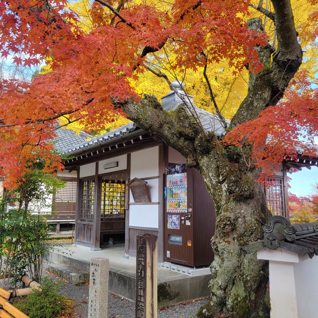 f:id:atoriatoriatori:20251219172125j:image