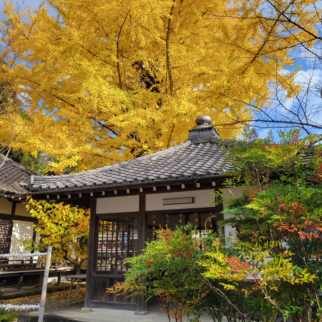 f:id:atoriatoriatori:20251219172133j:image