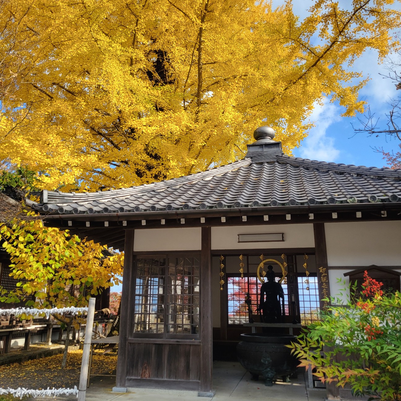 f:id:atoriatoriatori:20251219172140j:image